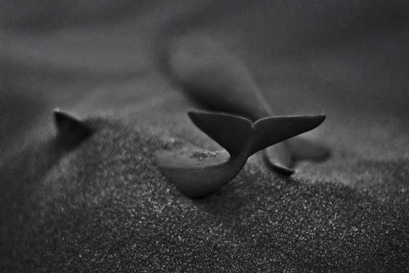 Une diversité de créations de Richard Orlinski, incluant des sculptures animalières et des pièces plus abstraites, exposant l’évolution de son travail contemporain